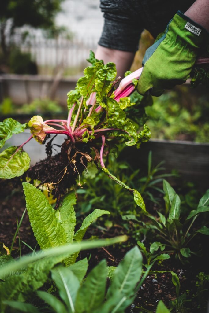 Introduction To Rainwater Collection Systems